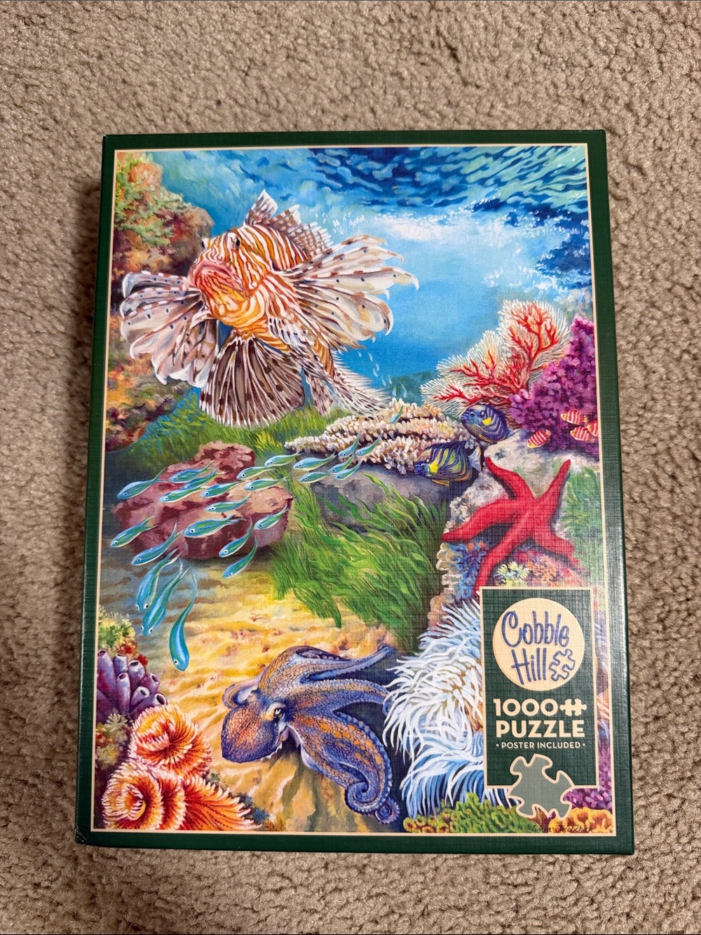 Cobble Hill 1000 Piece Puzzle Reef Life